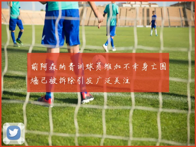 前阿森纳青训球员维加不幸身亡围墙已被拆除引发广泛关注