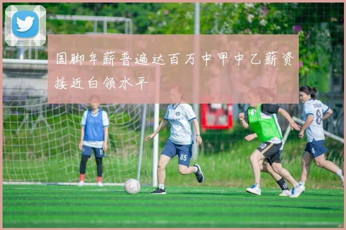 国脚年薪普遍达百万中甲中乙薪资接近白领水平