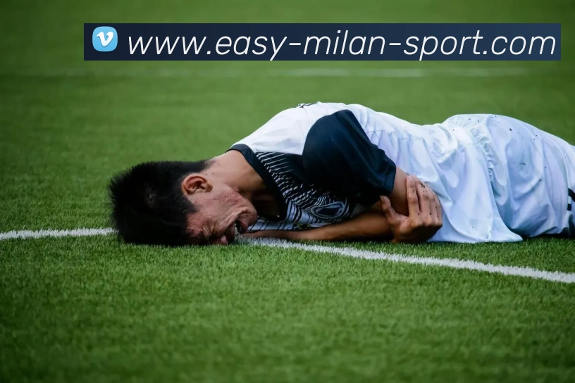 米兰体育平台生态图